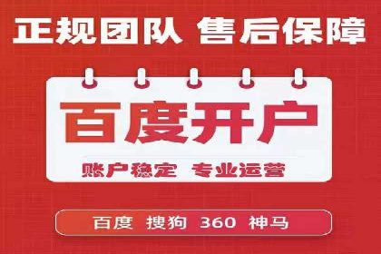 SEM搜索引擎优化案例：如何提升网站流量和转化率